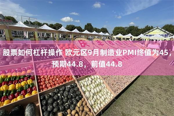 股票如何杠杆操作 欧元区9月制造业PMI终值为45，预期44