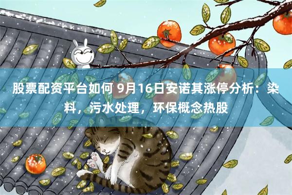 股票配资平台如何 9月16日安诺其涨停分析：染料，污水处理，