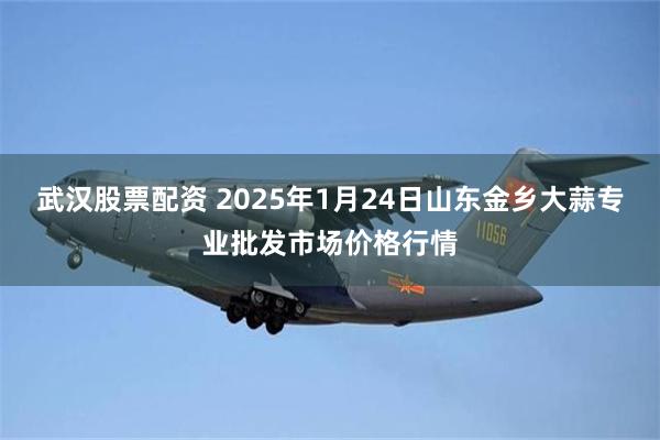 武汉股票配资 2025年1月24日山东金乡大蒜专业批发市场价