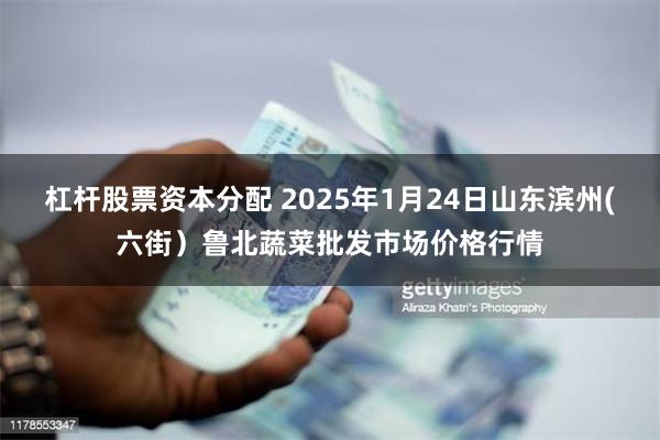 杠杆股票资本分配 2025年1月24日山东滨州(六街）鲁北蔬