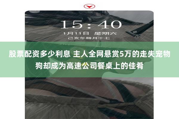 股票配资多少利息 主人全网悬赏5万的走失宠物狗却成为高速公司