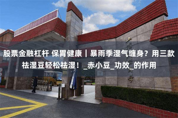 股票金融杠杆 保胃健康｜暴雨季湿气缠身？用三款祛湿豆轻松祛湿